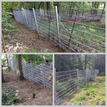 Doppelstabmatten Zaun als Wildschwein Schutz